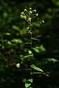 BUITEN BEELD Foto: 362903