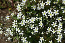 BUITEN BEELD Foto: 362918