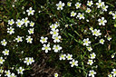 BUITEN BEELD Foto: 362924