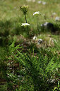 BUITEN BEELD Foto: 362929