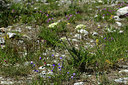 BUITEN BEELD Foto: 362935