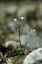 BUITEN BEELD Foto: 362943