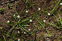 BUITEN BEELD Foto: 362962
