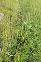 BUITEN BEELD Foto: 362971