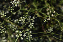 BUITEN BEELD Foto: 362980