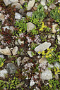 BUITEN BEELD Foto: 362984