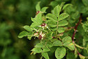 BUITEN BEELD Foto: 363001