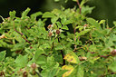 BUITEN BEELD Foto: 363002