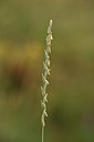 BUITEN BEELD Foto: 363003