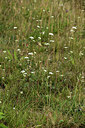BUITEN BEELD Foto: 363011