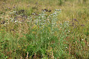 BUITEN BEELD Foto: 363014