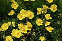 BUITEN BEELD Foto: 363016