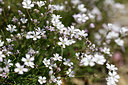 BUITEN BEELD Foto: 363020