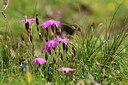 BUITEN BEELD Foto: 363026
