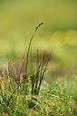 BUITEN BEELD Foto: 363028