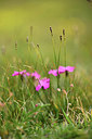 BUITEN BEELD Foto: 363031