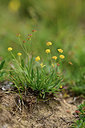 BUITEN BEELD Foto: 363036