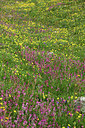 BUITEN BEELD Foto: 363041