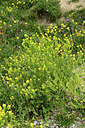 BUITEN BEELD Foto: 363049