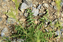 BUITEN BEELD Foto: 363050