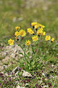 BUITEN BEELD Foto: 363067