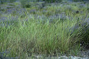 BUITEN BEELD Foto: 363105
