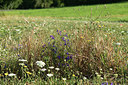 BUITEN BEELD Foto: 363118
