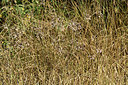 BUITEN BEELD Foto: 363139