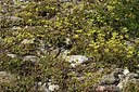 BUITEN BEELD Foto: 363140