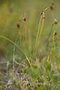 BUITEN BEELD Foto: 363167