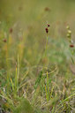 BUITEN BEELD Foto: 363168