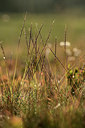 BUITEN BEELD Foto: 363176