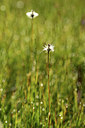 BUITEN BEELD Foto: 363203