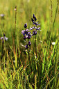 BUITEN BEELD Foto: 363206