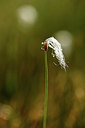 BUITEN BEELD Foto: 363211