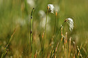 BUITEN BEELD Foto: 363213