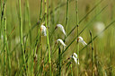 BUITEN BEELD Foto: 363214