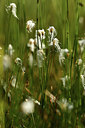 BUITEN BEELD Foto: 363216