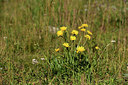 BUITEN BEELD Foto: 363229