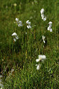 BUITEN BEELD Foto: 363241