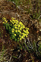 BUITEN BEELD Foto: 363244