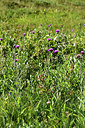 BUITEN BEELD Foto: 363248