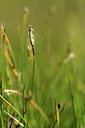 BUITEN BEELD Foto: 363252
