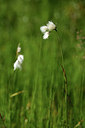 BUITEN BEELD Foto: 363255