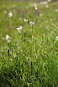 BUITEN BEELD Foto: 363257