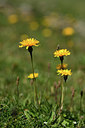 BUITEN BEELD Foto: 363283