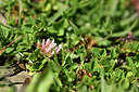 BUITEN BEELD Foto: 363291