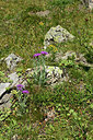 BUITEN BEELD Foto: 363304