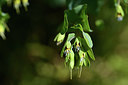 BUITEN BEELD Foto: 363305