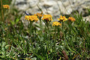 BUITEN BEELD Foto: 363335
